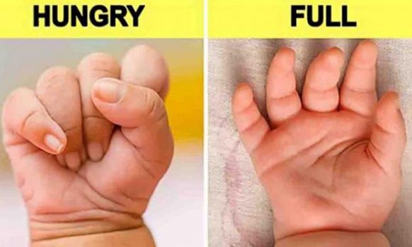 18 Signs That Will Help You To Understand Your Baby Before They Can Speak