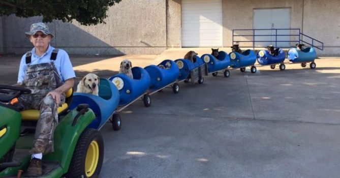 80-Year-Old Man Builds A ‘Dog Train’ To Take Rescued Homeless Dogs Out On Adventures