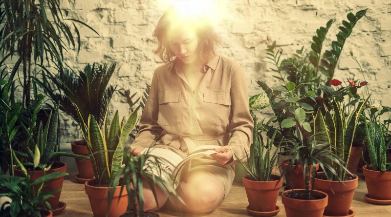 7 Healing Plants You Should Surround Yourself With