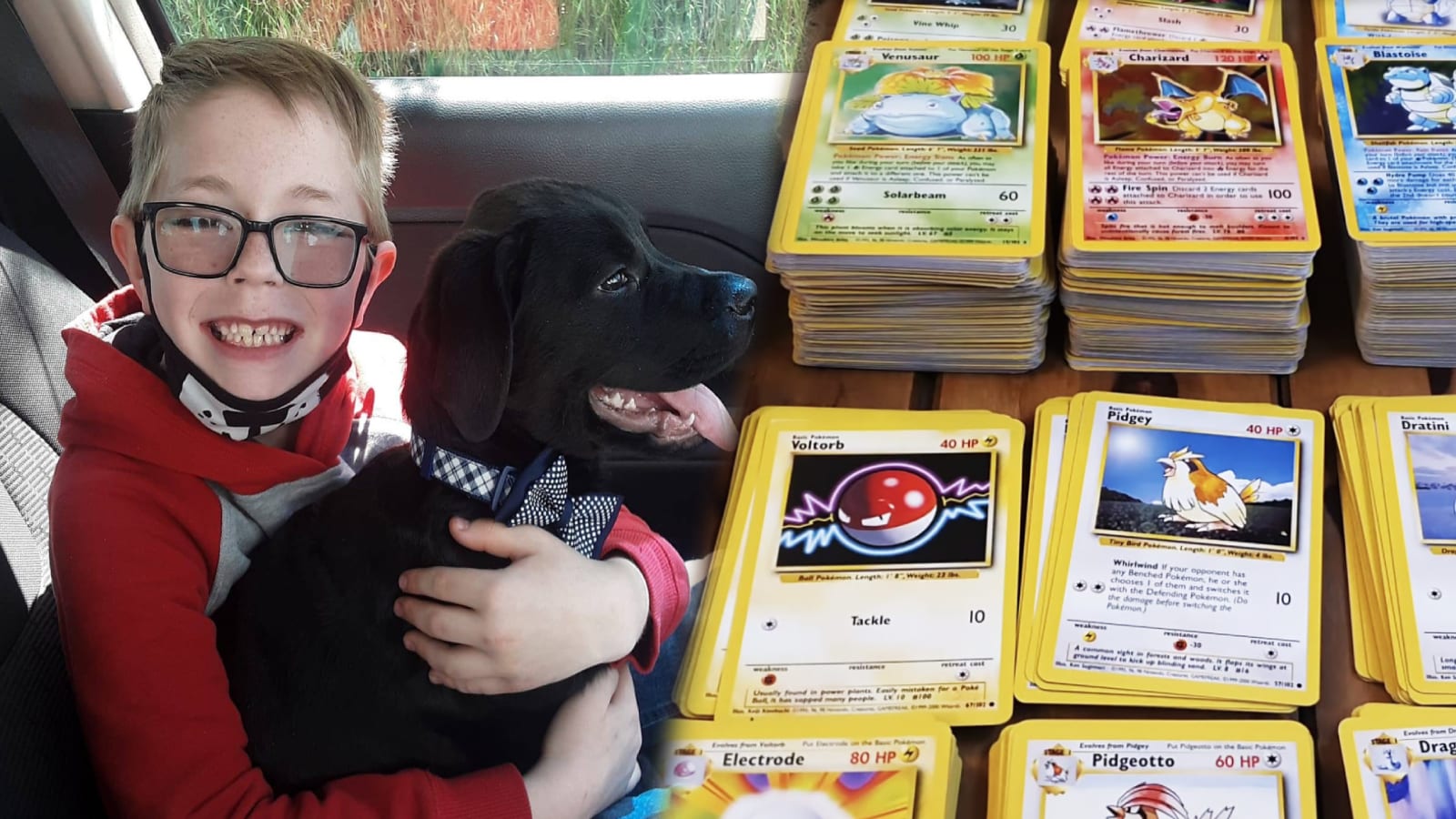 8-Year-Old Boy Sells His Pokemon Card Collection to Pay For His Sick Dog’s $700 Treatment