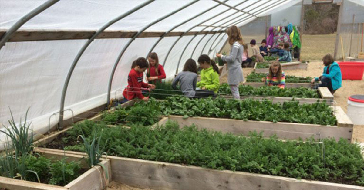 Should Every School Have a Year-Round Gardening Program?