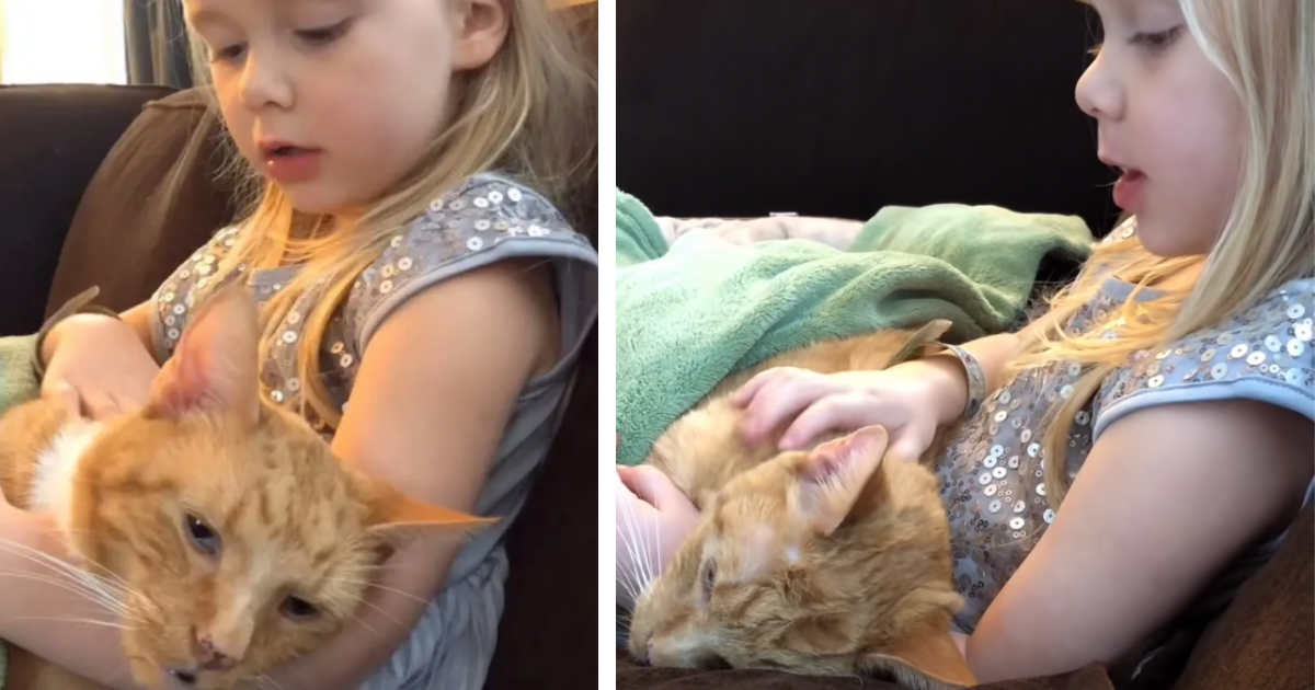 Little Girl Serenades Her Beloved Cat One Last Time Before He Passes Away