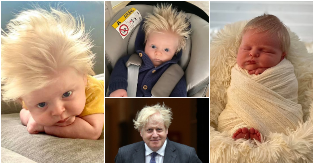 Three-Month-Old Baby Becomes a Celebrity Thanks to His Resemblance To Boris Johnson