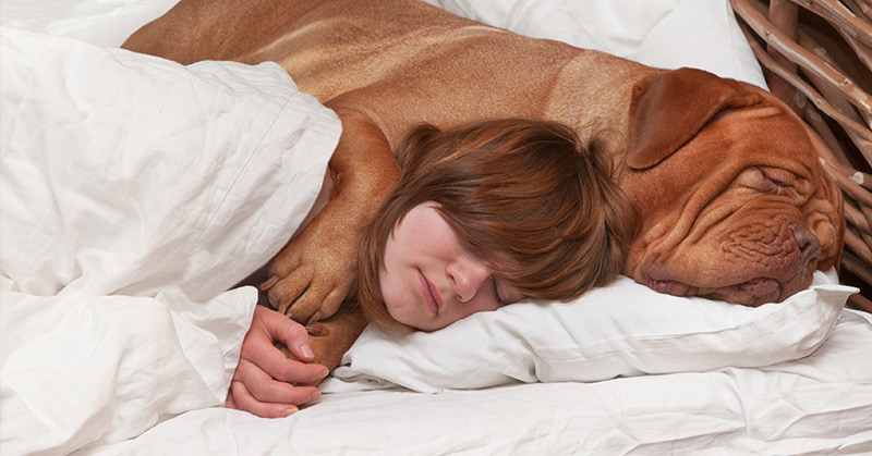 7 Surprising Reasons Your Dog Should Sleep On Your Bed Every Night