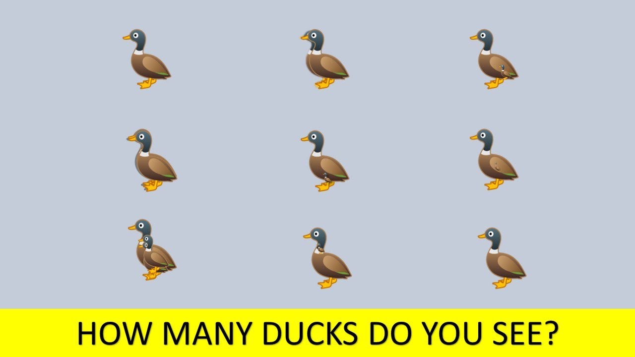 Test Your Eyesight. How Many Ducks Are In The Picture?