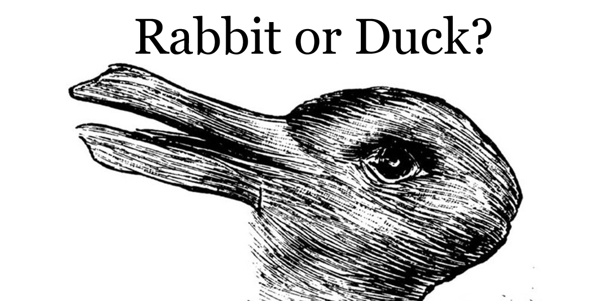 Do You See A Duck Or A Rabbit? Your Answer Reveals Something About Your Brain