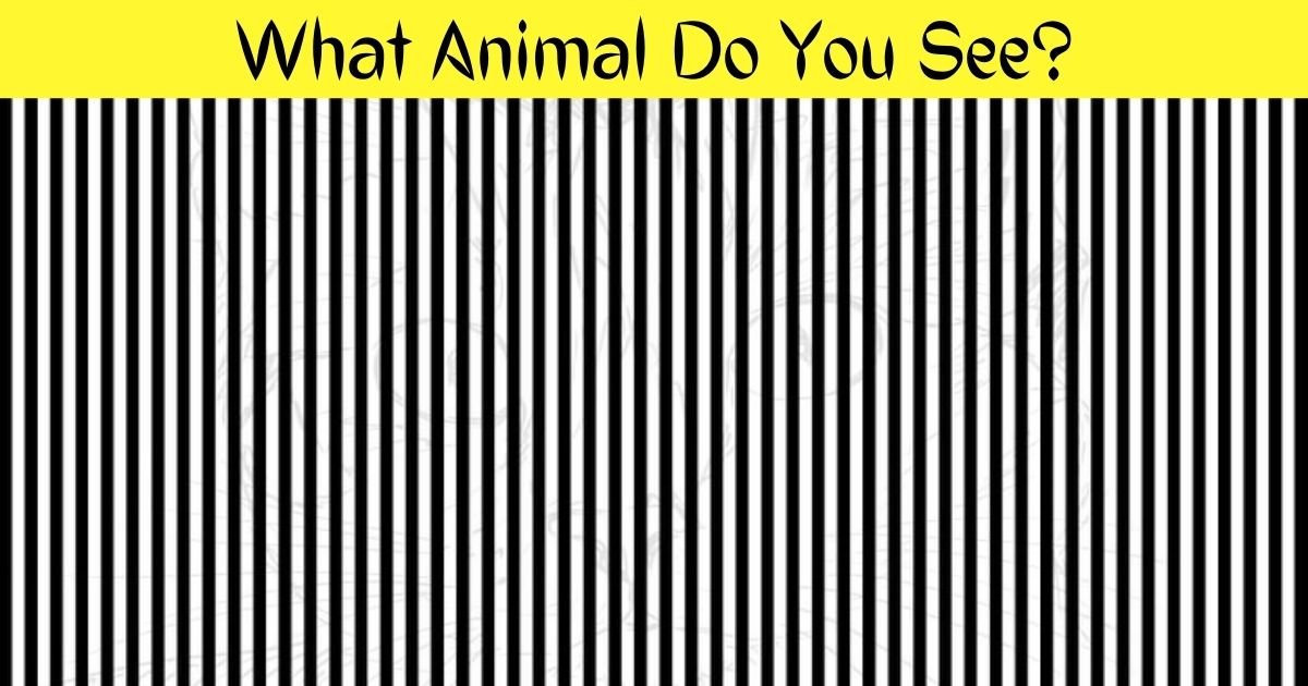 Can You Spot The Hidden Animal In This Picture? - Keep on Mind