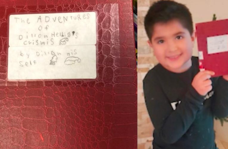 8-Year-Old Puts Self-Written Book on Library Shelf Hoping for Views; Now There’s a Waiting List to Read It