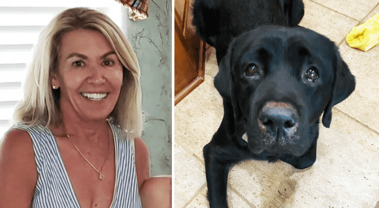 Max The ‘hero’ Dog Saves A Mother With Dementia Lost For Three Days In A Forest