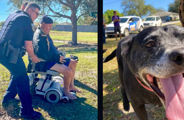 Electric Wheelchair Dumps 81-Year-Old Into Lake But His Very Loyal Dog Saves The Day