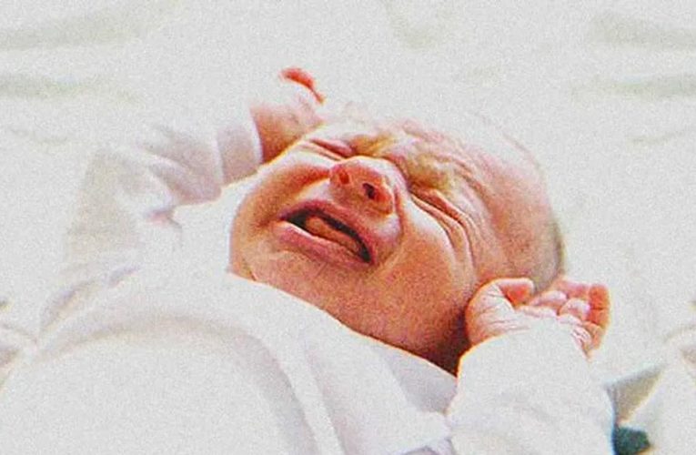 Little Boy Finds Abandoned Stroller with Newborn Girl in Park, Years Later They Meet Again