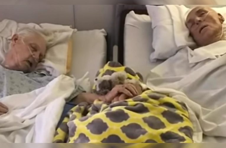 Couple Married For 62 Years Passes Away Just 90 Min Apart Holding Hands Till Their Last Breath