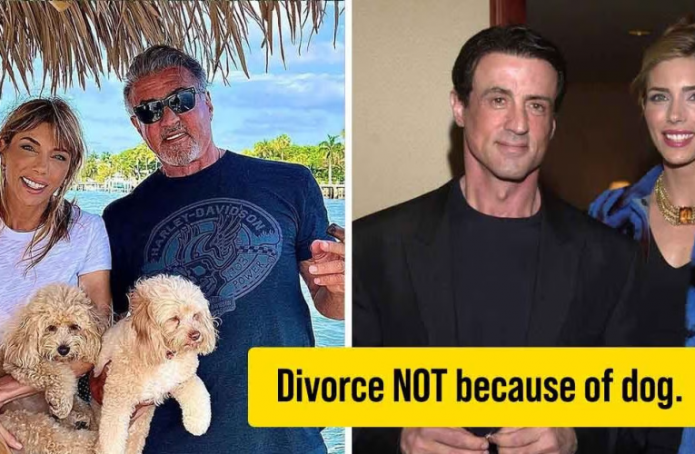 Sylvester Stallone Says His Dog Is NOT The Reason Of His Divorce