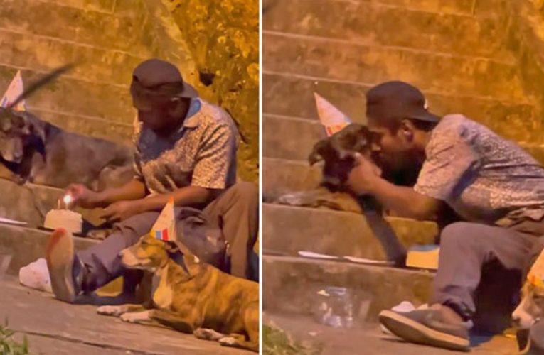 Homeless Man Throws Heartwarming Birthday Party For His Dog And The Internet Rallies To Help Him